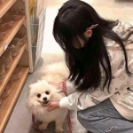 飘渺寻仙录手游下载
